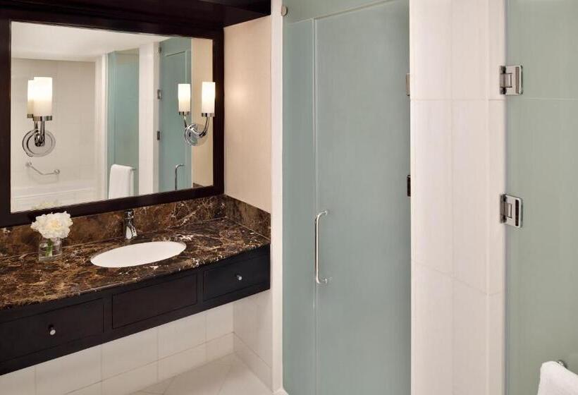 اتاق کلاسیک با چشم‌انداز دریا, Intercontinental Abu Dhabi, An Ihg