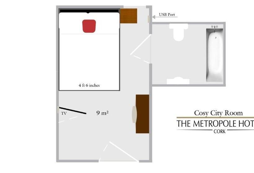 اتاق اکونومی, The Metropole Hotel Cork