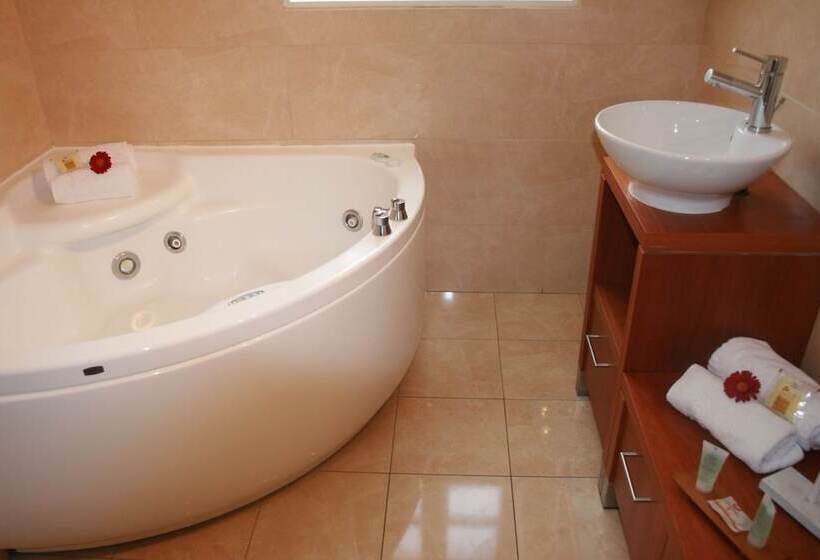 سوئیت جونیور با چشم‌انداز, Best Western Le Cheval Blanc  Vue Sur Le Port Plein Centre Ville