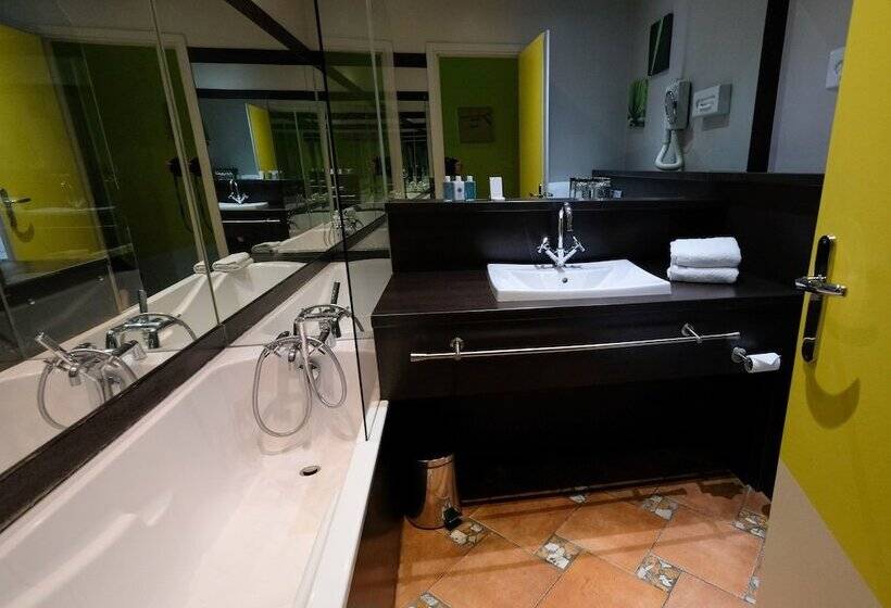 スタンダードルーム, Hôtel Des Beaux Arts Toulouse