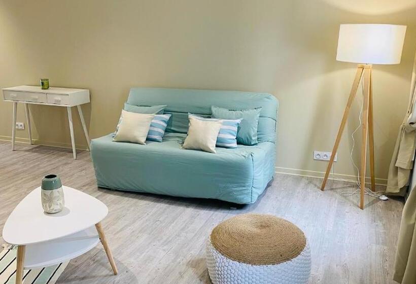 آپارتمان 1 خوابه, Kyriad Saumur Hyper Centre Hôtel Appartements Et Spa Soins Sothys Paris