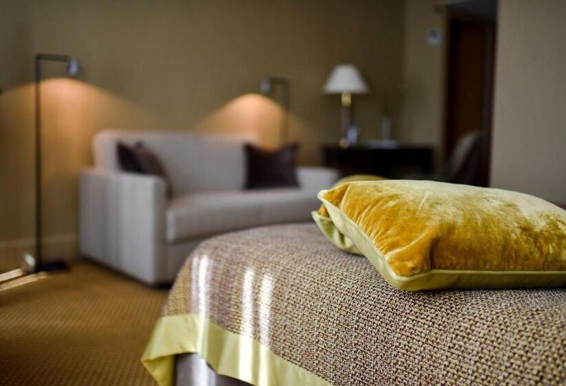 اتاق سوپریور, Grand Hôtel Du Lion D Or