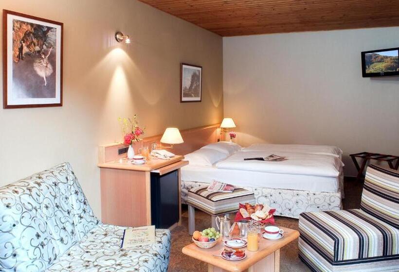 اتاق استاندارد, Logis Hostellerie Motel Au Bois Le Sire