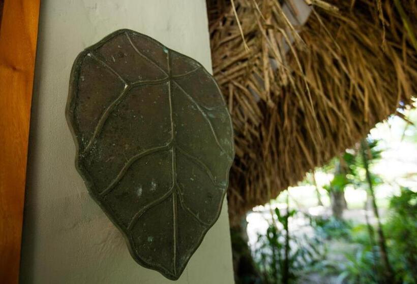 Standard Quadruple Room, Castaway Island Resort