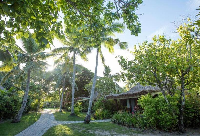 Habitació Quàdruple Estàndard, Castaway Island Resort