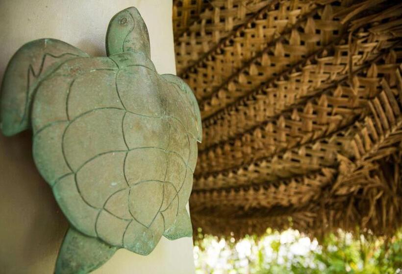 غرفة قياسية مطلّة علي البحر, Castaway Island Resort