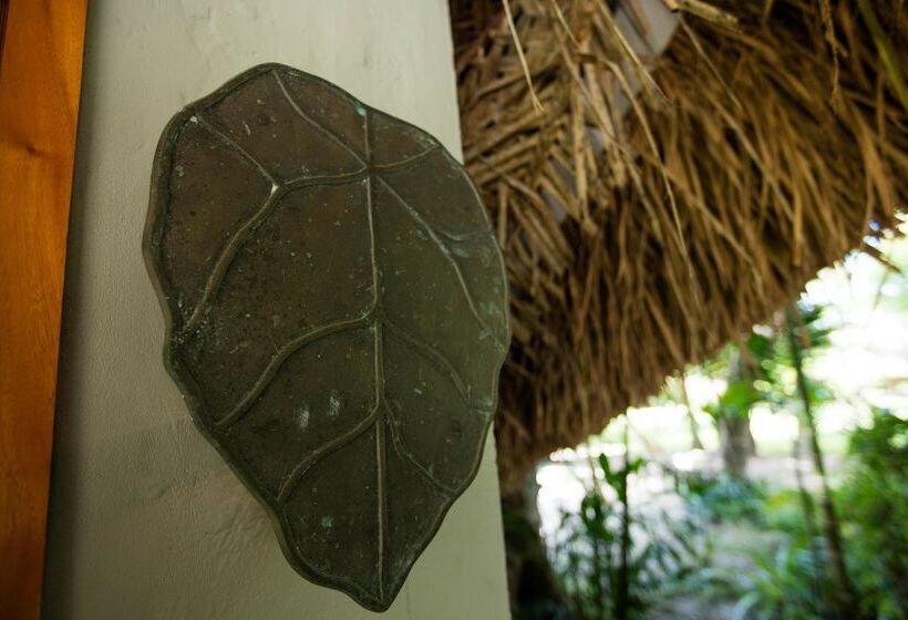 Standard Room, Castaway Island Resort