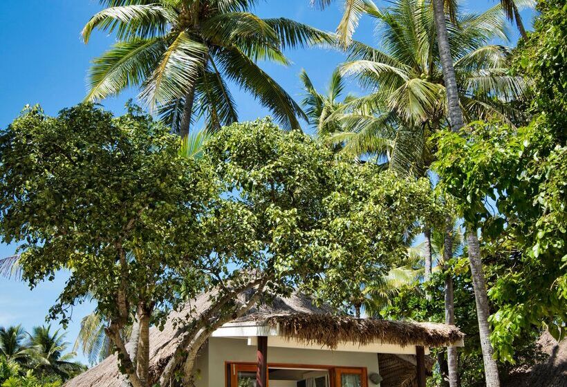 Habitació Estàndard, Castaway Island Resort