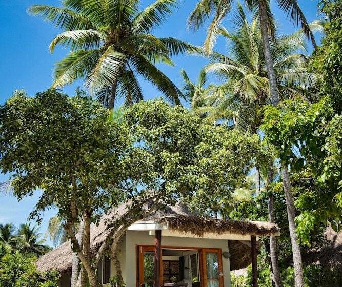 اتاق خانوادگی, Castaway Island, Fiji