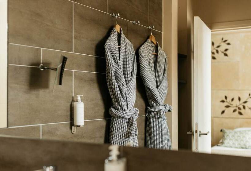 اتاق لوکس, Hôtel Cézanne Boutique Hôtel