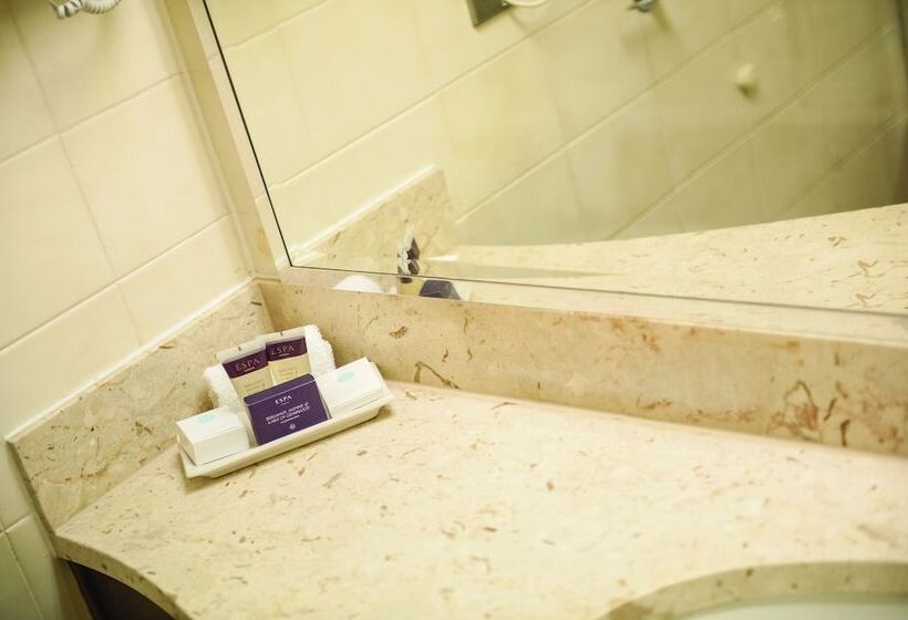 اتاق استاندارد با چشم‌انداز دریاچه, Aztec Hotel And Spa