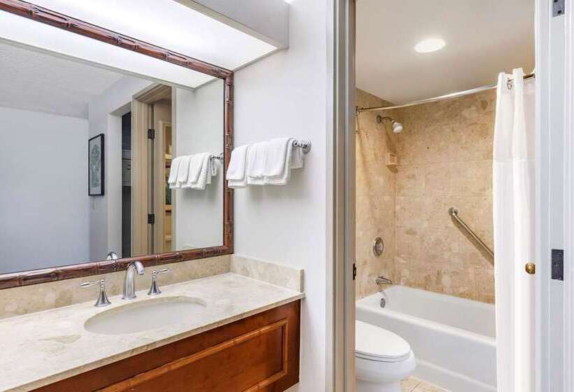 اتاق لوکس, Hilton Birmingham Metropole