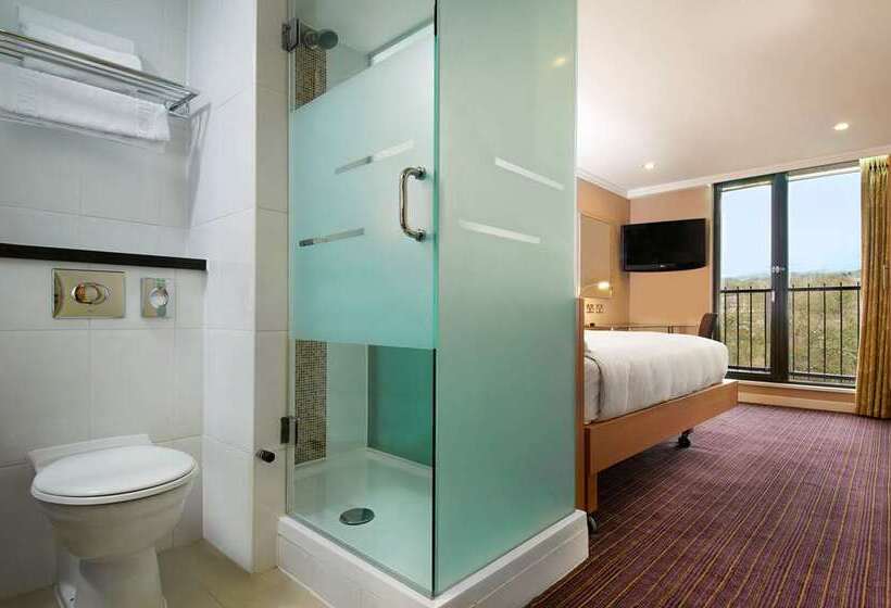 اتاق لوکس یک تخته, Hilton Birmingham Metropole
