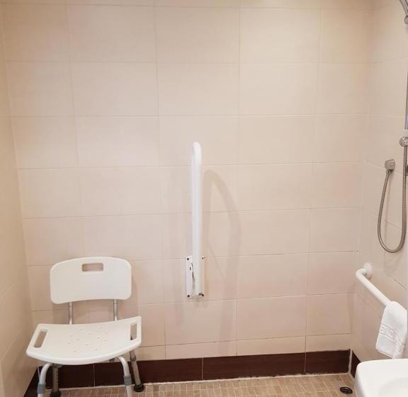 اتاق استاندارد با تخت بزرگ برای معلولان, Rosslea Hall