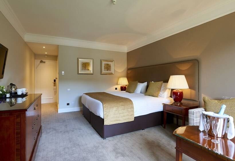اتاق سوپریور با تخت بزرگ, Coldra Court Hotel By Celtic Manor