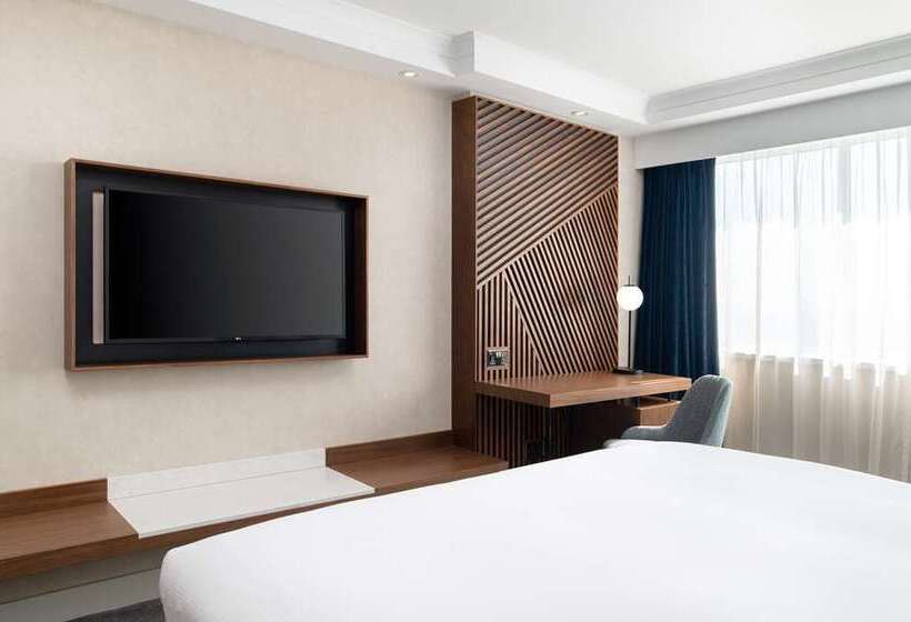 اتاق لوکس با تخت بزرگ, Hilton London Metropole