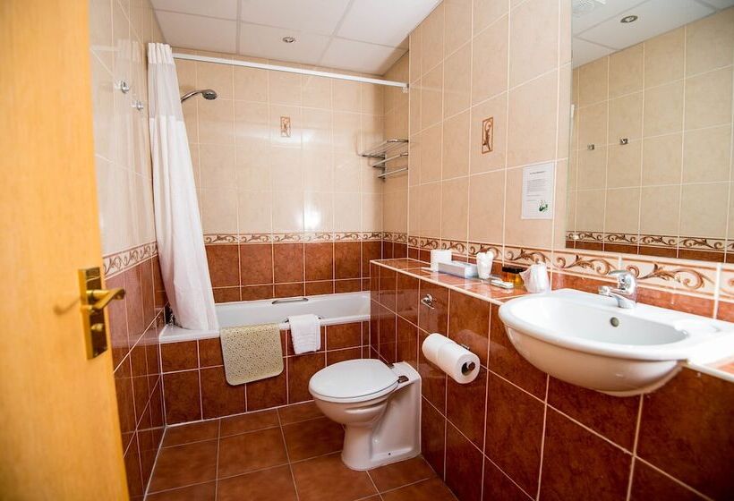 اتاق استاندارد یک نفره, Ivy Bush Royal Hotel By Compass Hospitality