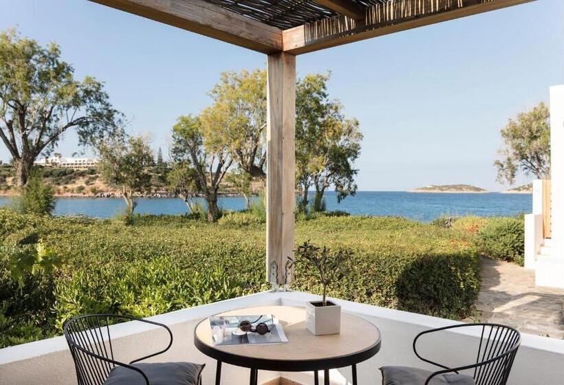 بانگلوی استاندارد با چشم‌انداز دریا, Minos Beach Art Hotel, A Member Of Design Hotels