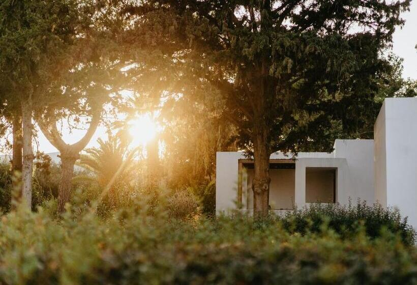 بانگلوی سوپریور, Minos Beach Art Hotel, A Member Of Design Hotels