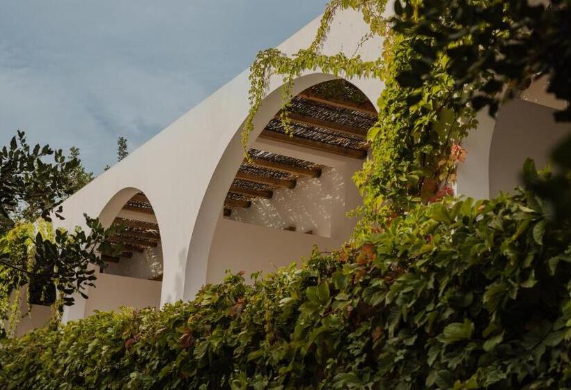 سوییت, Minos Beach Art Hotel, A Member Of Design Hotels