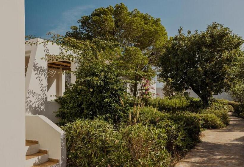 بانگلوی سوپریور, Minos Beach Art Hotel, A Member Of Design Hotels