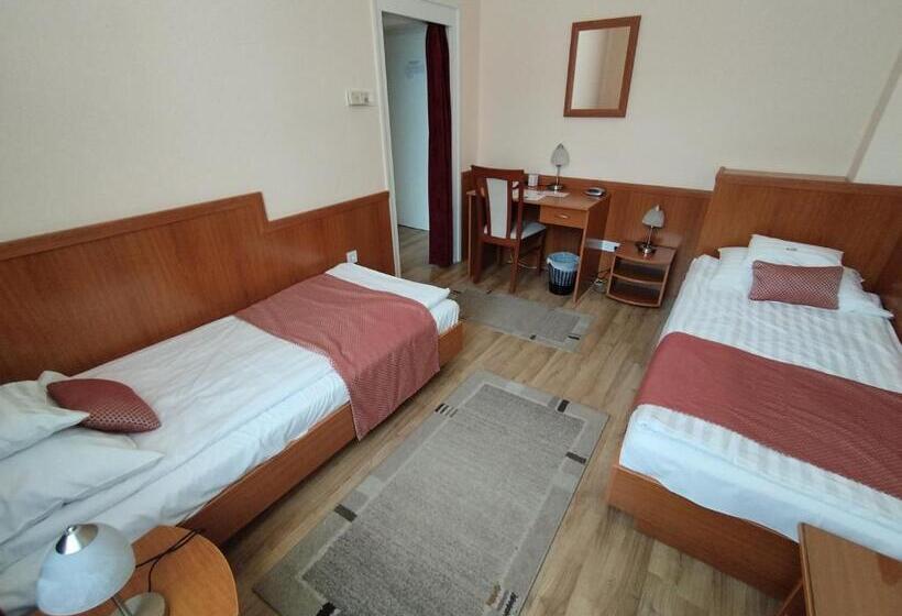 اتاق استاندارد, Pannonia