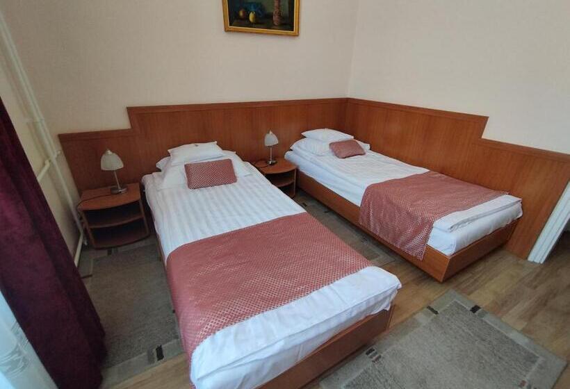اتاق استاندارد, Pannonia
