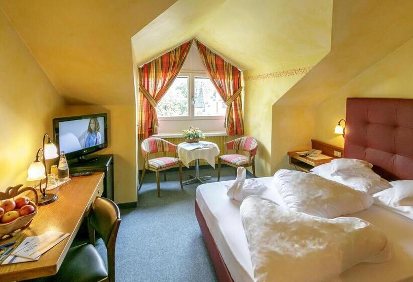 اتاق اکونومی یک تخته, Dominik Alpine City Wellness Hotel   Adults Only