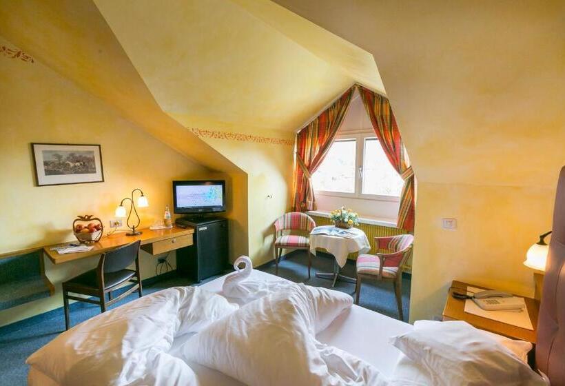 اتاق اکونومی, Dominik Alpine City Wellness Hotel   Adults Only