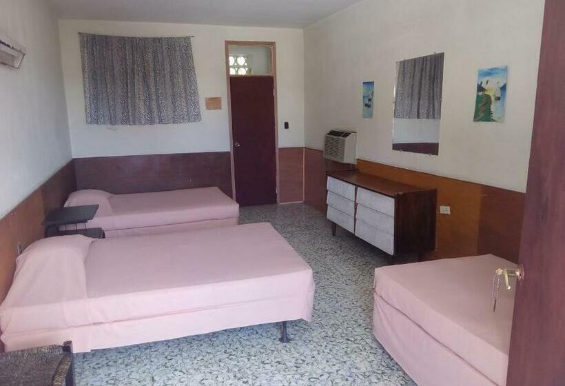 Economy Triple Room, Park