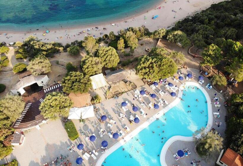 اتاق استاندارد چهار تخته, Club Esse Palmasera