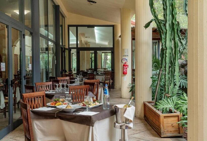 اتاق سوپریور چهار تخته, Club Esse Palmasera