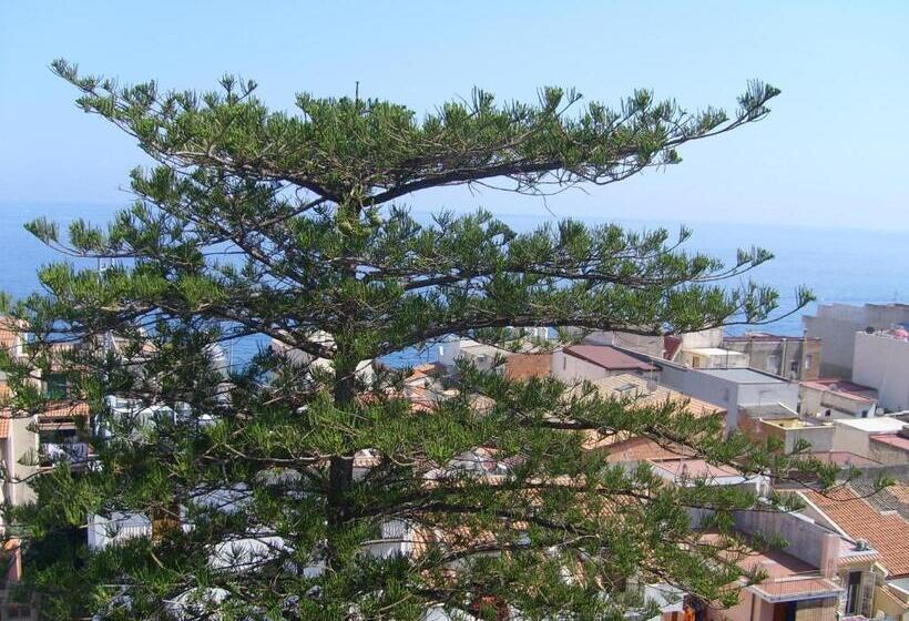 Standard Room Garden View, Delle Palme