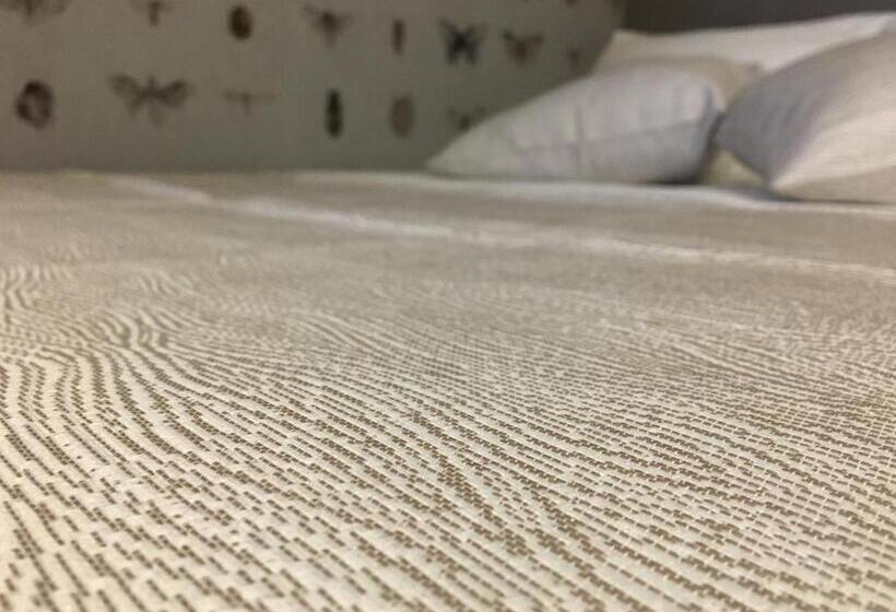 اتاق استاندارد, Maxxim Hotel & Loft