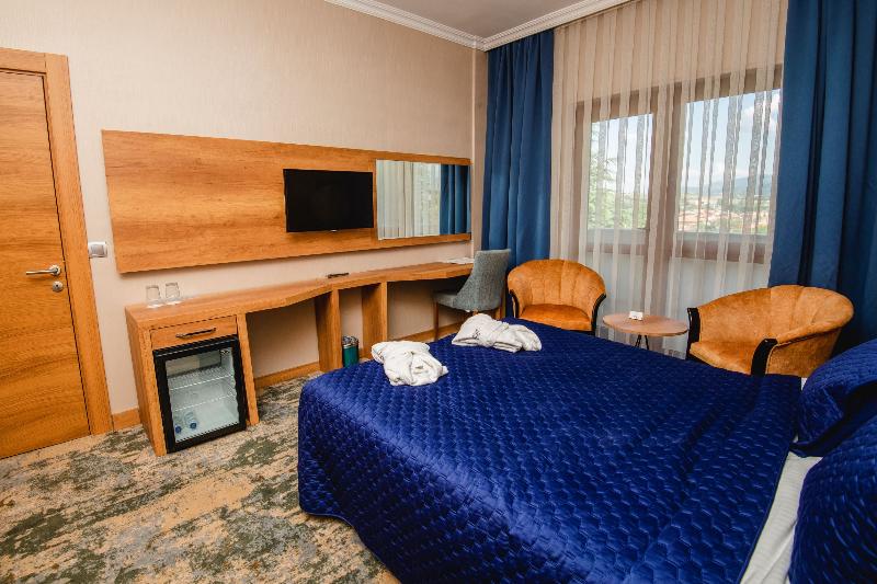 اتاق لوکس, Starhotels Michelangelo Florence