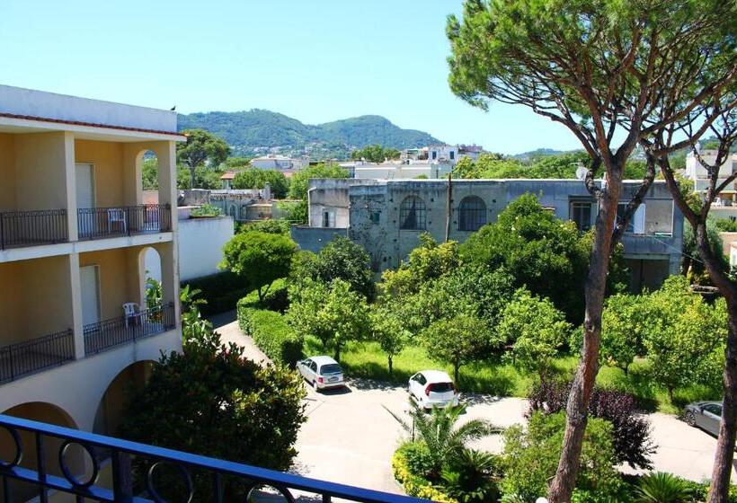 Standardzimmer mit Gartenblick, Terme Alexander