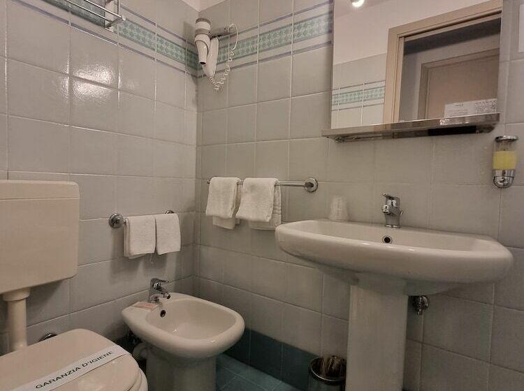 اتاق عادی, Green Class Hotel Astoria