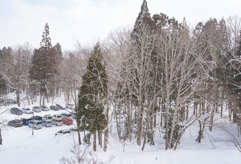 اتاق اکونومی, Hakuba Tokyu