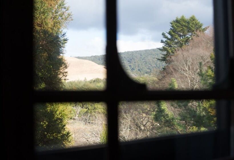 اتاق استاندارد, Nara
