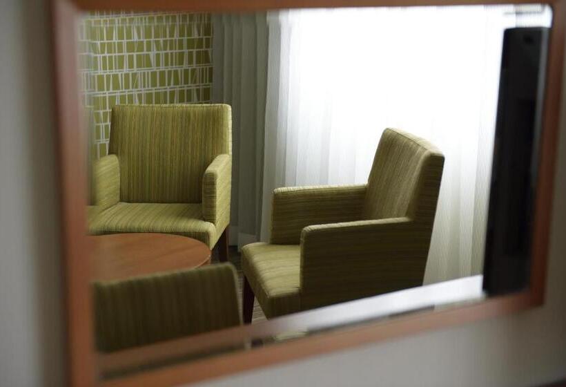 اتاق استاندارد, Narita Tobu Hotel Airport