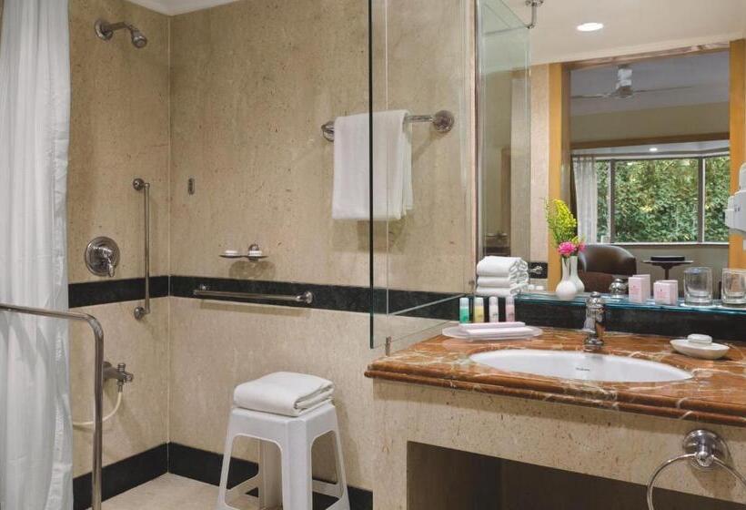 デラックススイート, Ramada Plaza By Wyndham Palm Grove