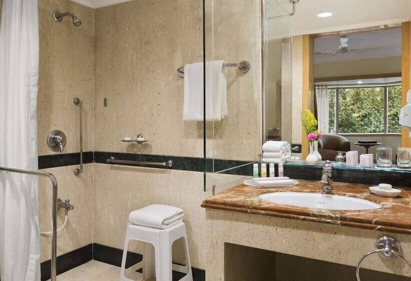 デラックスルーム, Ramada Plaza By Wyndham Palm Grove