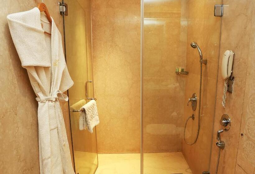 اتاق استاندارد, The Ashok, New Delhi