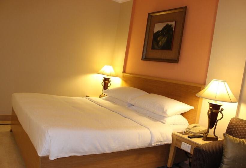 اتاق لوکس, The Hans, New Delhi