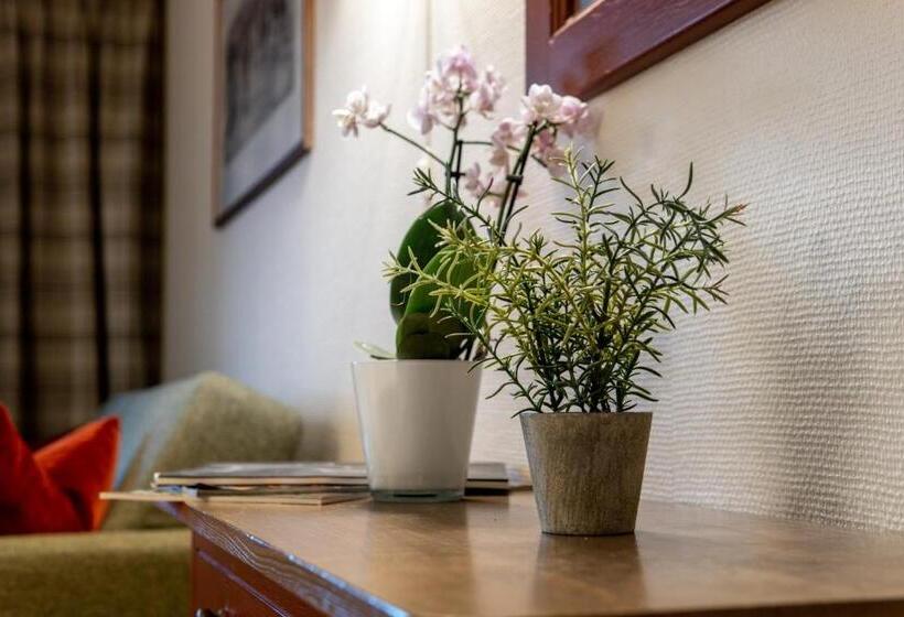 اتاق خانوادگی, Birkebeineren Hotel & Apartments