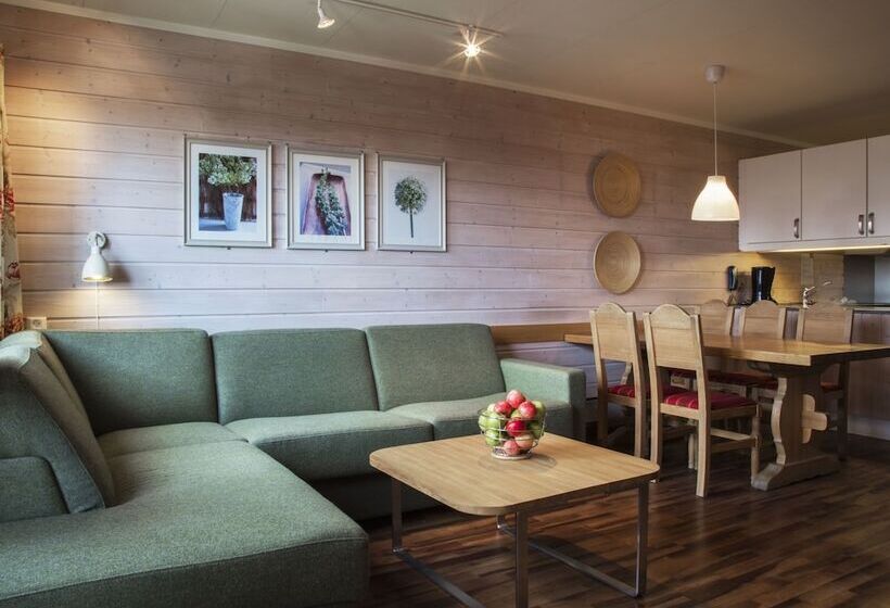 آپارتمان 1 خوابه, Birkebeineren Hotel & Apartments