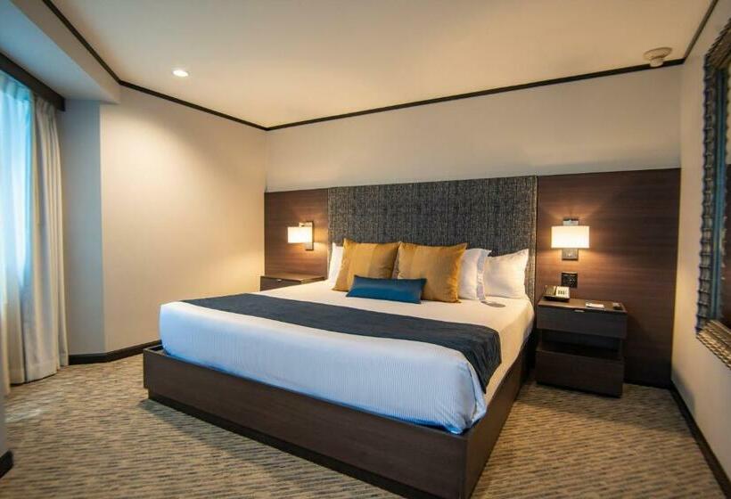 اتاق اجرایی با تخت بزرگ, Grand Hotel Tijuana