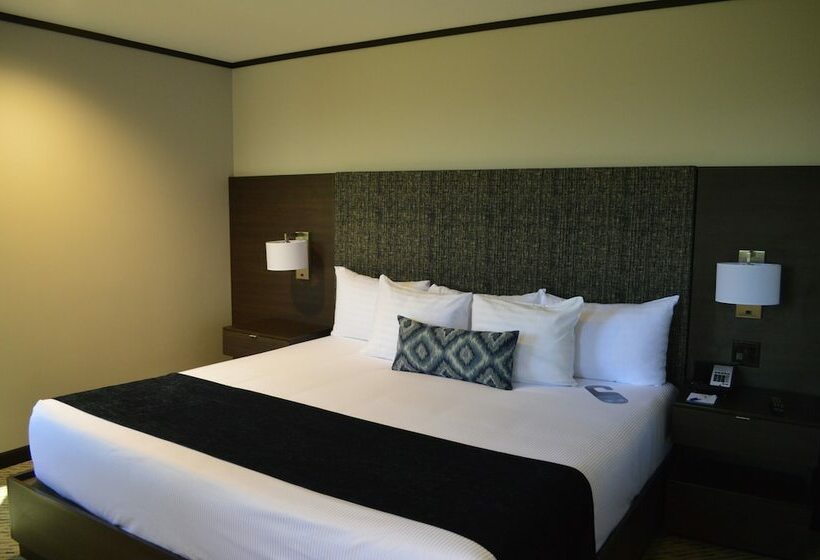 Chambre Executive, Grand  Tijuana