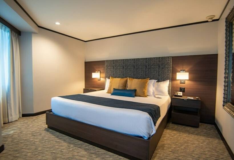 Executive-Zimmer, Grand  Tijuana