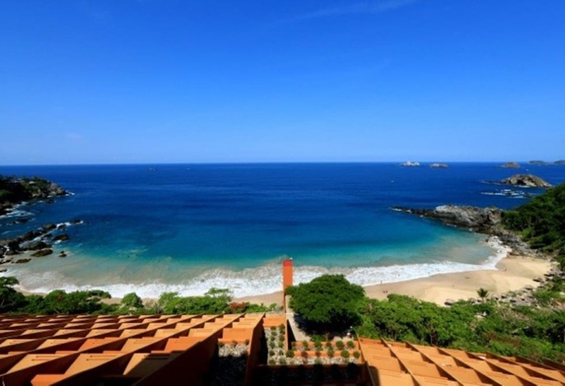 سوییت جونیور, Las Brisas Ixtapa